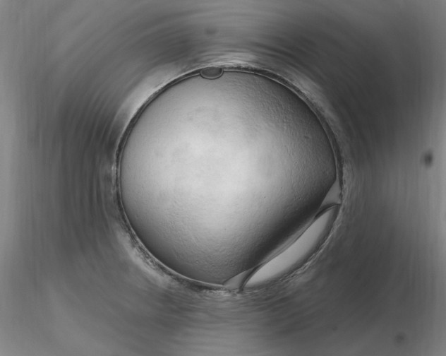 X0000116281234200912211812