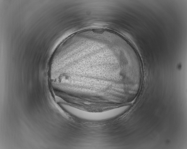 X0000116281235200912211812