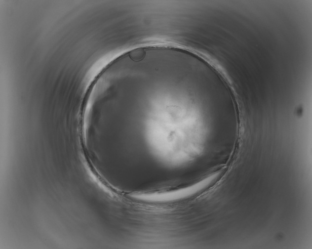 X0000116281239200912211812