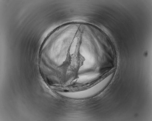 X0000116281240200912211812