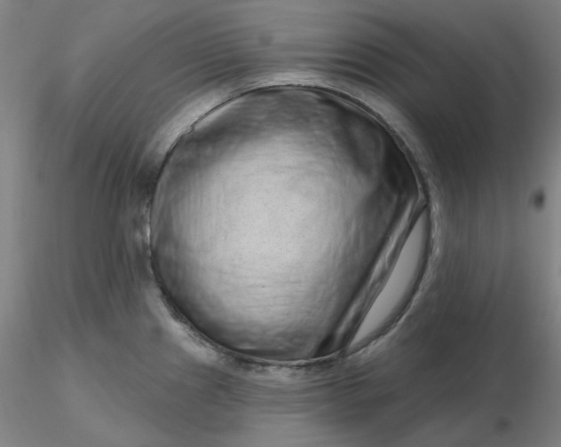 X0000116281241200912211812