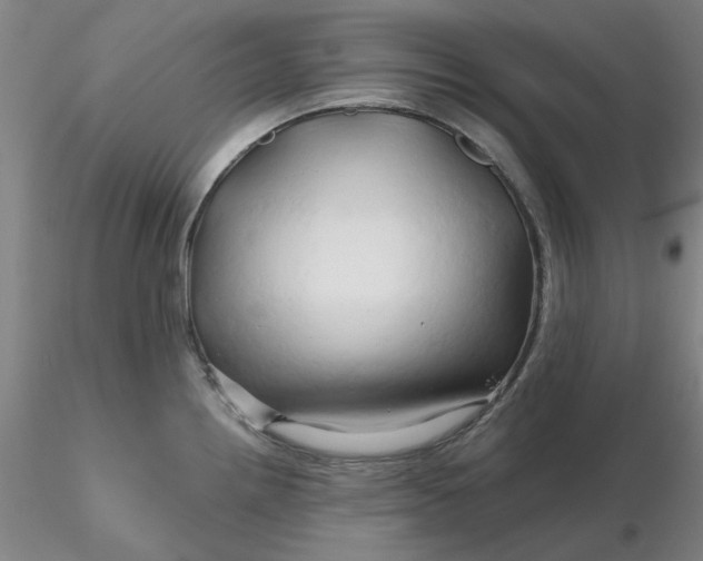 X0000116281242200912211812