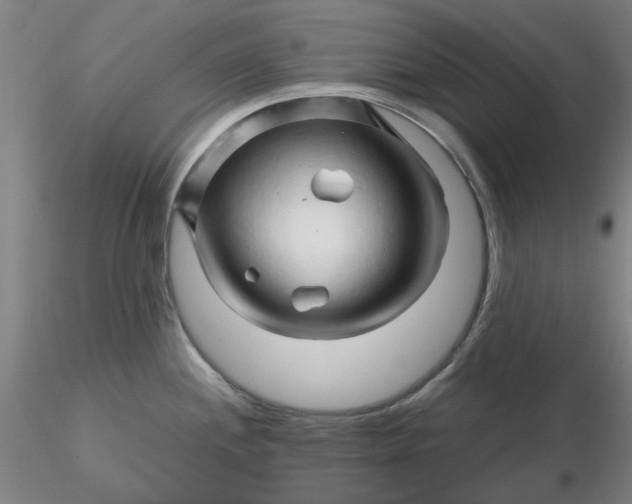 X0000116281244200912211812