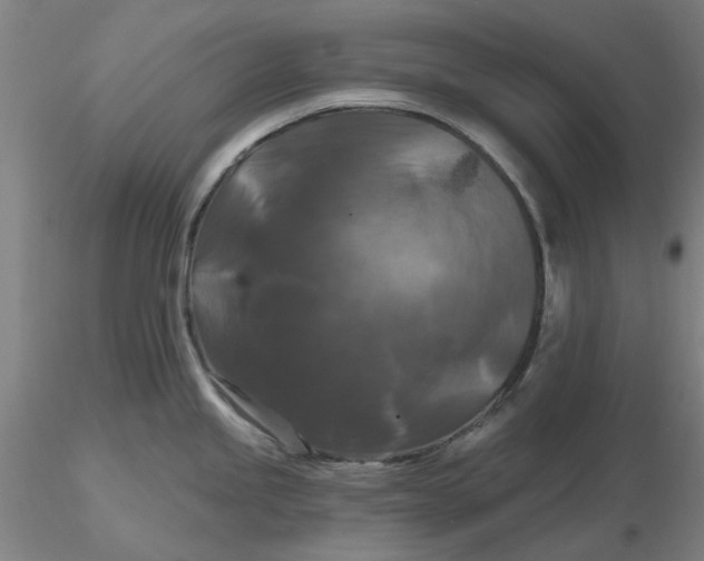 X0000116281245200912211812