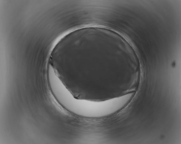 X0000116281246200912211812