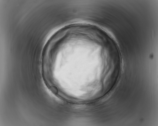 X0000116281247200912211812