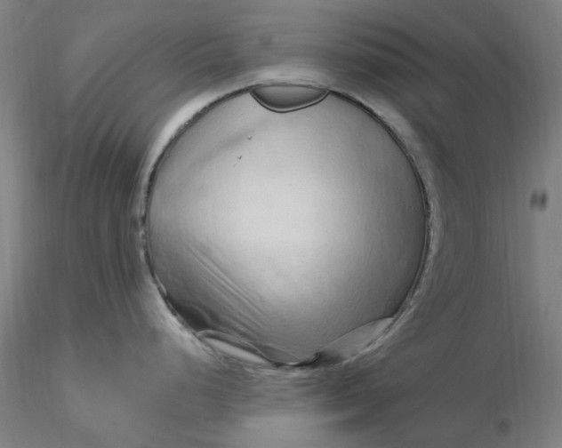 X0000116281248200912211812