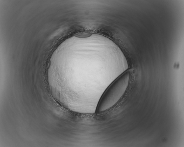 X0000116281249200912211812