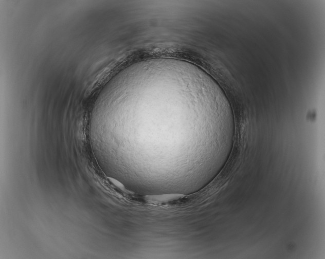 X0000116281250200912211812