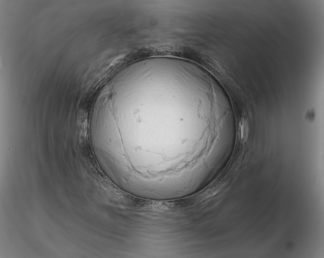 X0000116281251200912211812