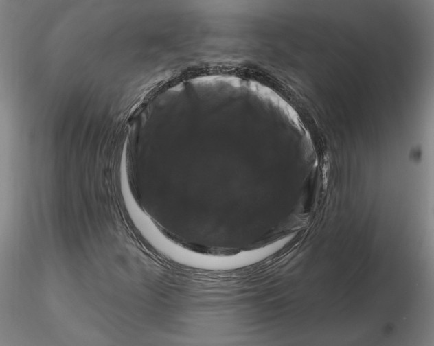 X0000116281252200912211812