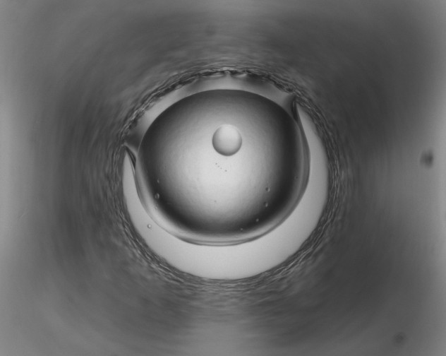 X0000116281253200912211812