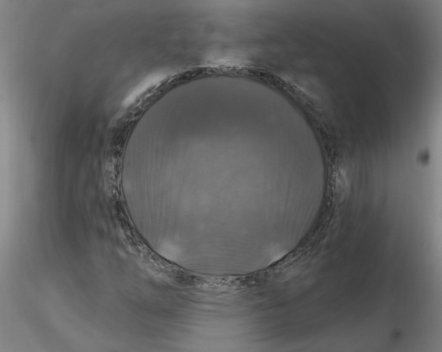 X0000116281254200912211812