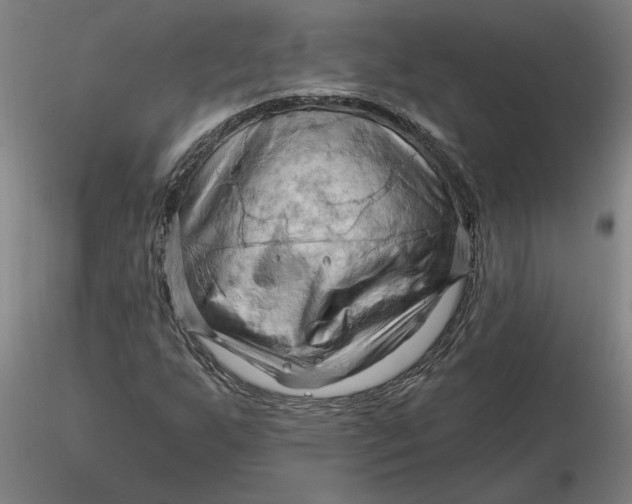 X0000116281255200912211812