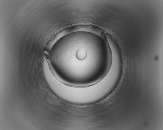 X0000116281257200912211812