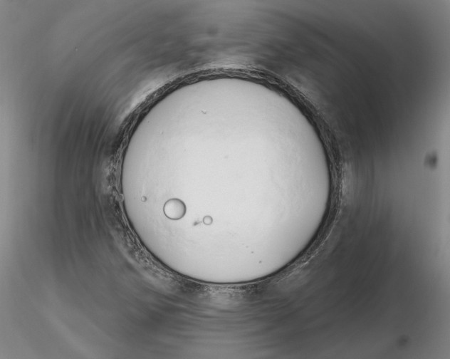 X0000116281258200912211812