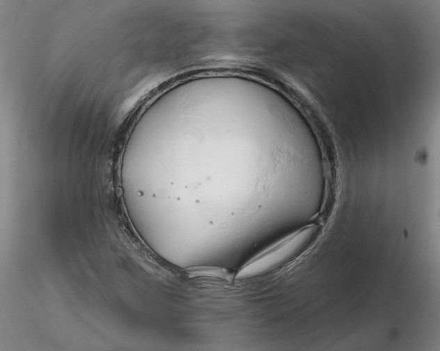 X0000116281259200912211812