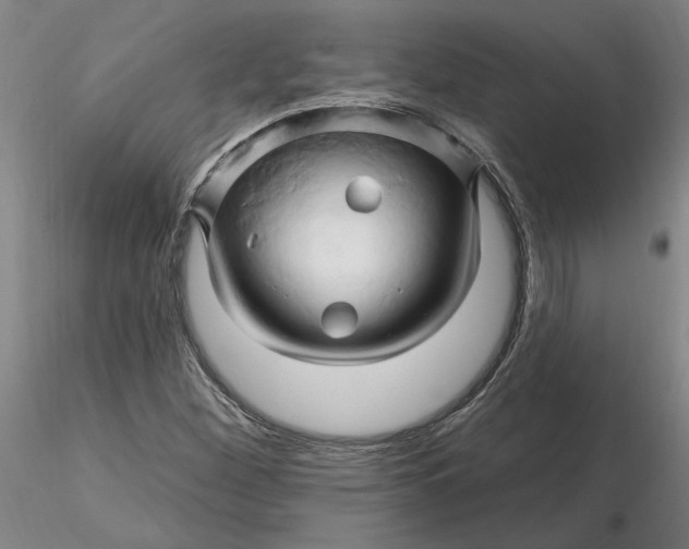 X0000116281260200912211812