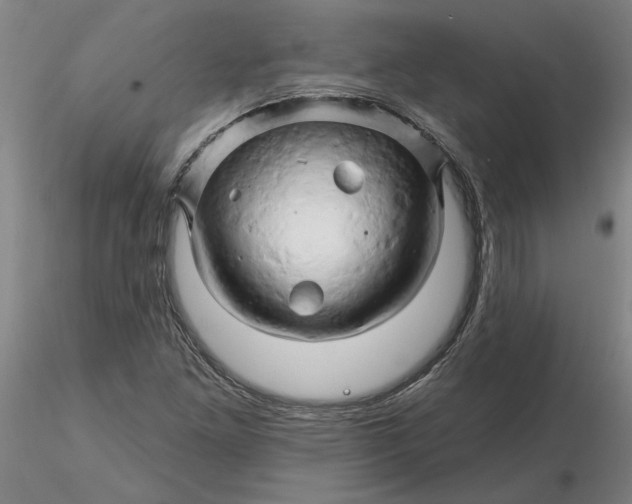 X0000116281261200912211812