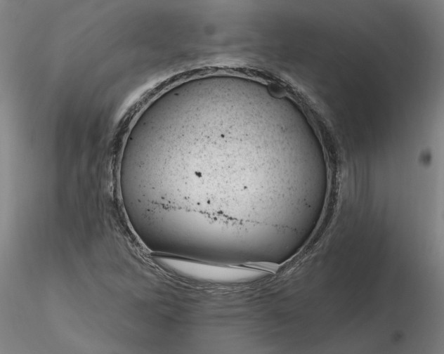 X0000116281262200912211812