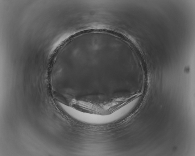 X0000116281263200912211812