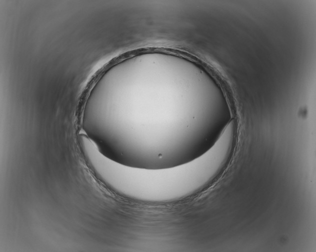 X0000116281264200912211812