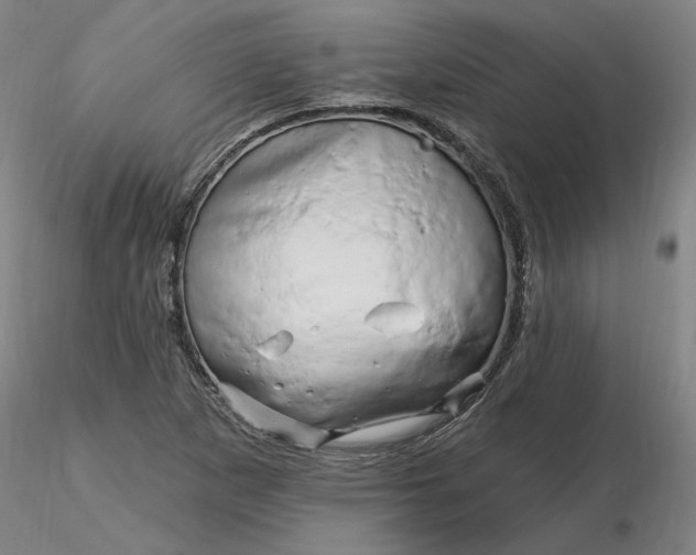 X0000116281265200912211812