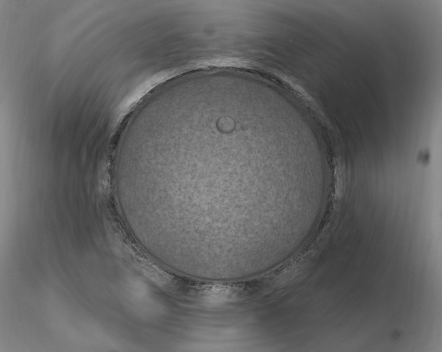 X0000116281266200912211812