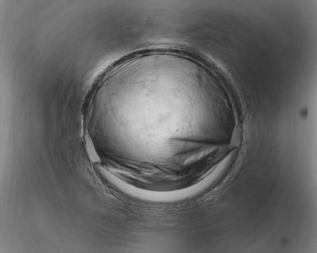 X0000116281267200912211812