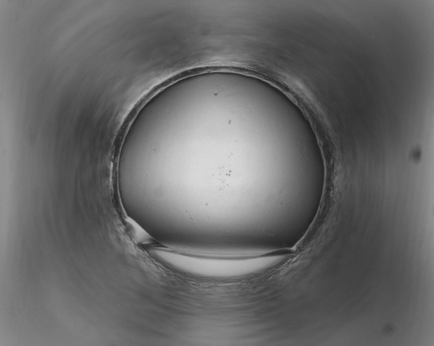 X0000116281268200912211812