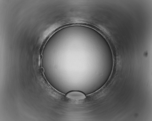 X0000116281269200912211811