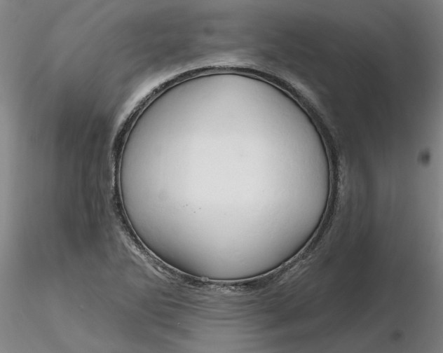 X0000116281270200912211811