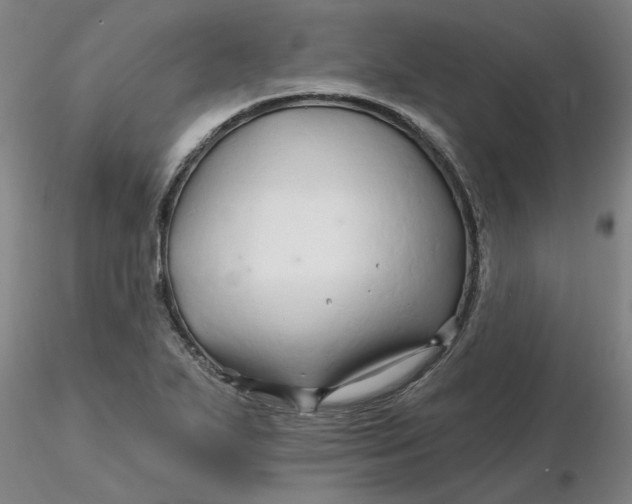 X0000116281271200912211811