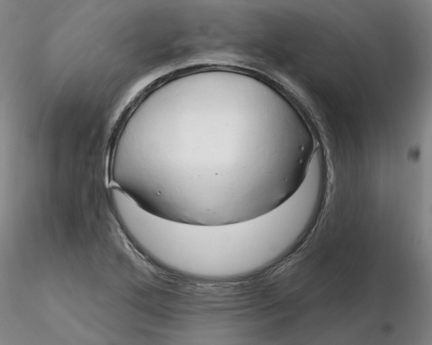 X0000116281272200912211811