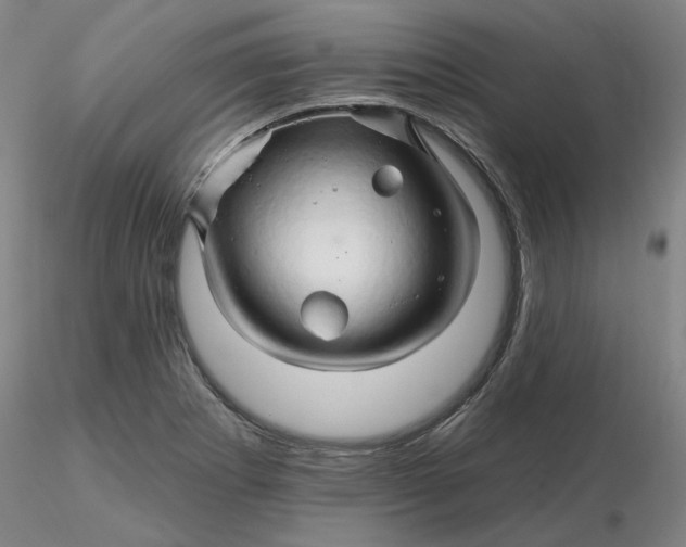 X0000116281273200912211811