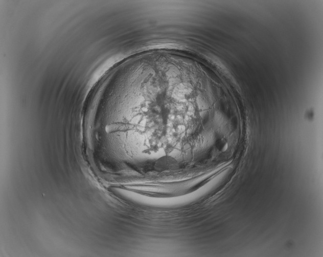 X0000116281274200912211811