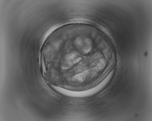 X0000116281275200912211811