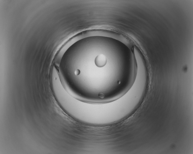 X0000116281276200912211811