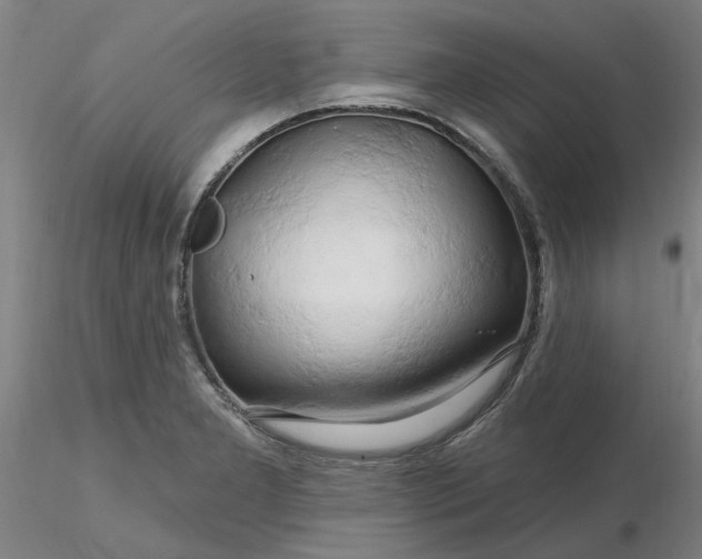 X0000116281277200912211811