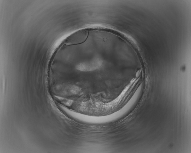 X0000116281279200912211811