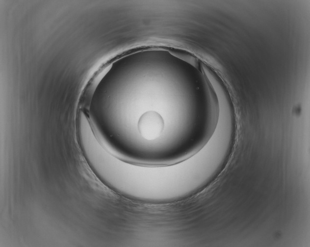 X0000116281280200912211811