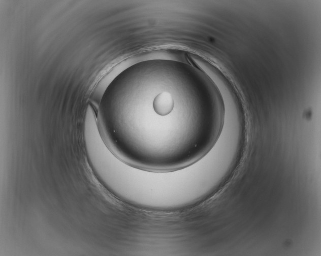 X0000116281281200912211811