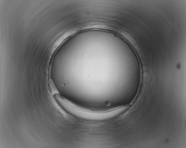 X0000116281282200912211811