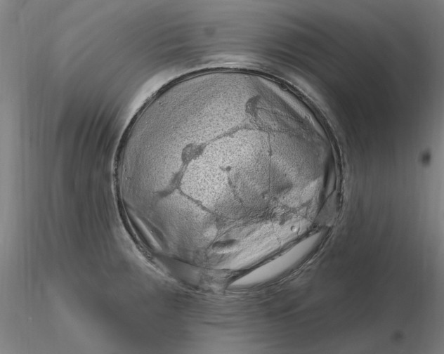 X0000116281283200912211811