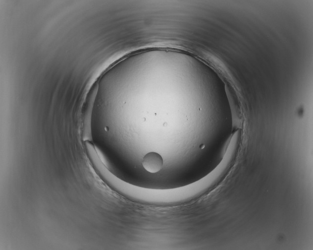 X0000116281284200912211811