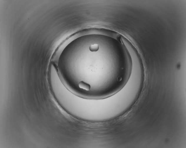 X0000116281285200912211811