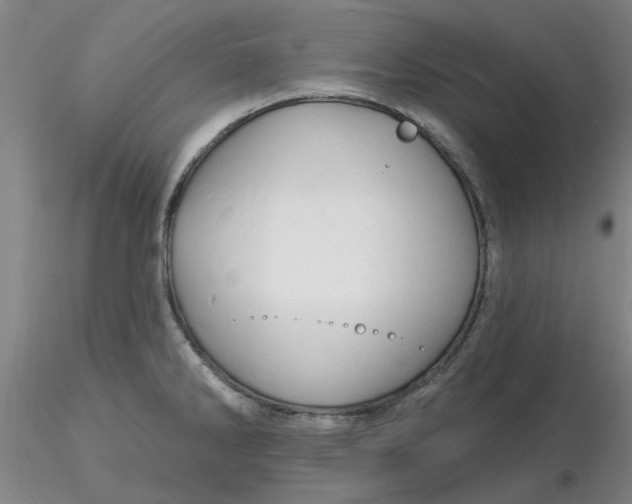 X0000116281286200912211811