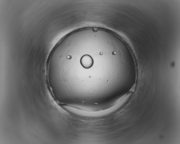 X0000116281287200912211811