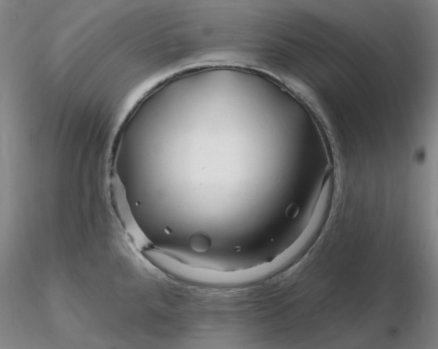 X0000116281288200912211811