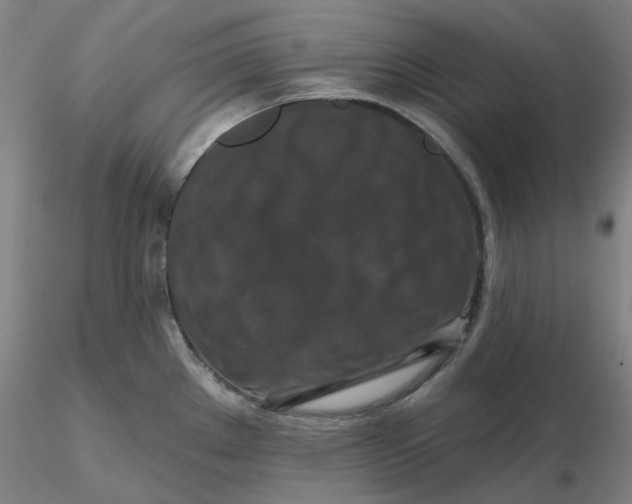 X0000116281289200912211811